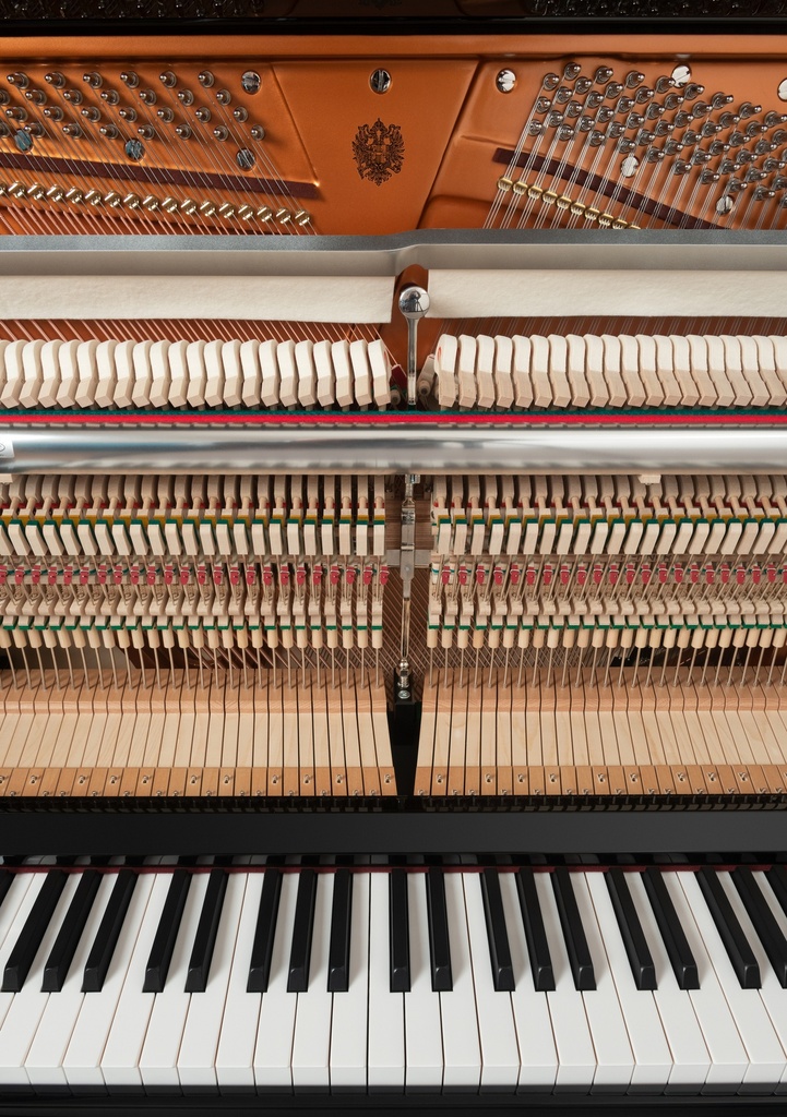 Bösendorfer Piano Grand Upright 130 Detailansicht Mechanik