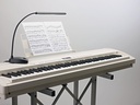 LED Pianoleuchte schwarz