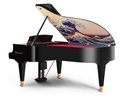 Bösendorfer Flügel 214VC Collector's Item "The Great Wave off Kanagawa"