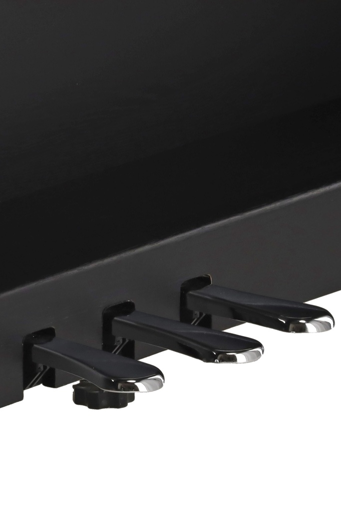 GEWA Digitalpiano DP-510 schwarz matt