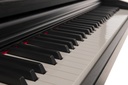 GEWA Digitalpiano DP-510 schwarz matt