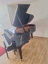 Wilh. Steinberg Flügel, Modell P-187, schwarz poliert, gebraucht,