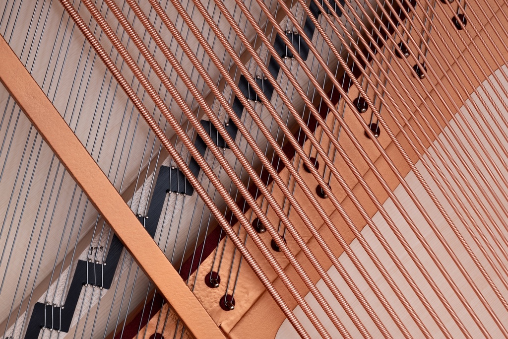 Bösendorfer Piano Grand Upright 130 Detailansicht Saiten