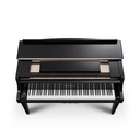 Kawai Novus NV12 Hybrid Flügel