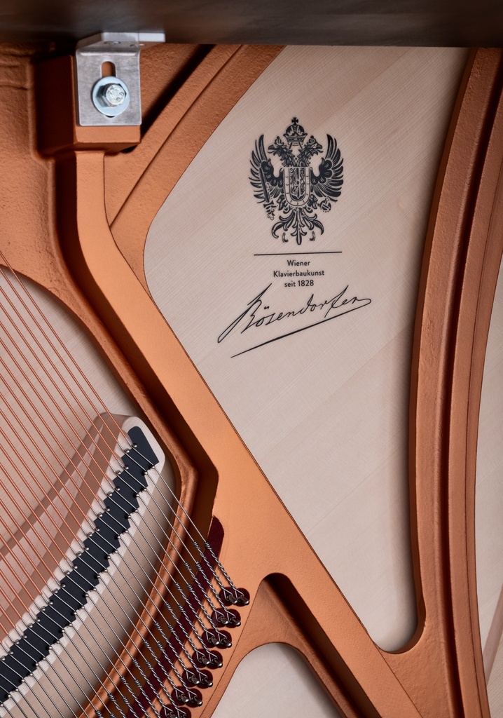 Bösendorfer Piano Grand Upright 130 Detialansicht Rahmen und Logo