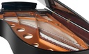 Bösendorfer Salonflügel Grand Piano 214VC