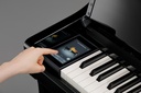 Kawai CA-901EP Digitalpiano