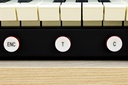 Viscount Sakralorgel Domus 4 Light Oak, mit Rolldeckel