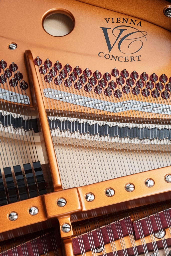 Bösendorfer Flügel Grand Piano 185VC