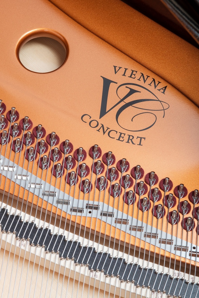 Bösendorfer Flügel Grand Piano 185VC Detailansicht