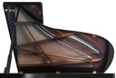 Bösendorfer Salonflügel Grand Piano 214VC Detailansicht Spiegelung
