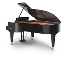 Bösendorfer Salonflügel Grand Piano 214VC