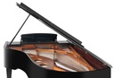 Bösendorfer Salonflügel Grand Piano 214VC Ansicht Rahmen