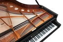 Bösendorfer Salonflügel Grand Piano 214VC
