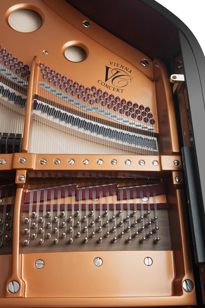 Bösendorfer Salonflügel Grand Piano 214VC Detailansicht