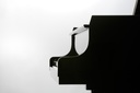 Kawai Flügel GL-50, schwarz poliert