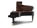 Bösendorfer Halbkonzertflügel Grand Piano 230VC
