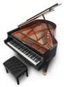 Bösendorfer Stutzflügel 170VC