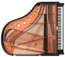Bösendorfer Stutzflügel 170VC