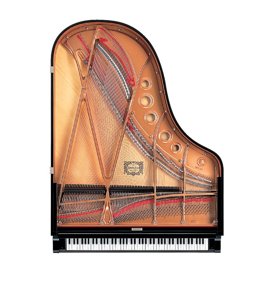Yamaha Flügel C5X Disklavier ENSPIRE PRO, schwarz poliert