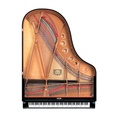 Yamaha Flügel C5X Disklavier ENSPIRE PRO, schwarz poliert