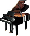 Yamaha C1XSH3PE Silent Flügel, schwarz poliert