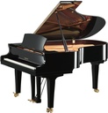 Yamaha Salonflügel S5X