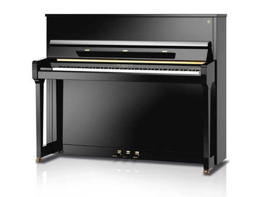 [F121Tsp] Fridolin Schimmel Piano F121