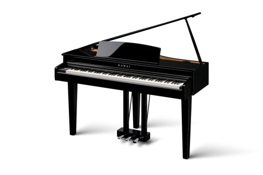 [DG30] Kawai DG-30 Digitalflügel